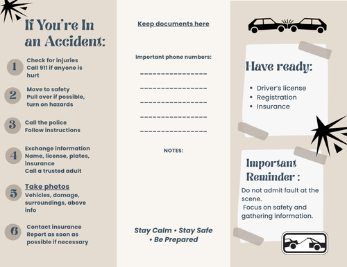 Teen Driver Kit